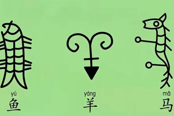 命运与多字成语的奇妙旅程：从古至今的智慧探讨