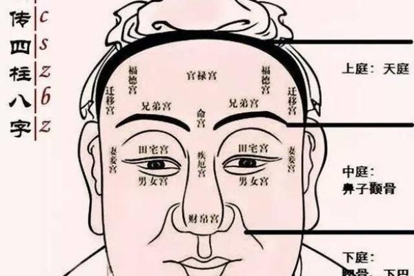 男没有鼻梁的命运解析：潜在意义与生活态度