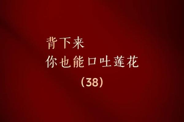 拿命换来的心头宝：一首歌的深情与力量