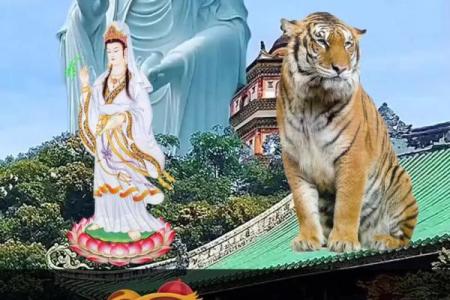 属虎寅时出生之命：勇敢与智慧的结合，开拓人生新篇章