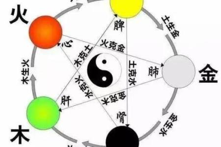 生木命与克木命：探讨五行中的生克关系与命理启示