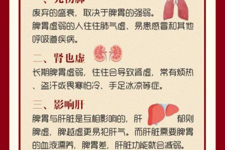 从右肺到脾胃：解读内脏与健康的微妙关系