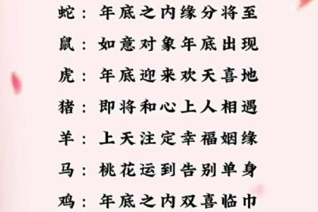 男命大运桃花运：细解命理中的情感缘分