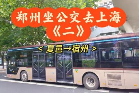 公交车：穿梭于城市生活的命脉与故事