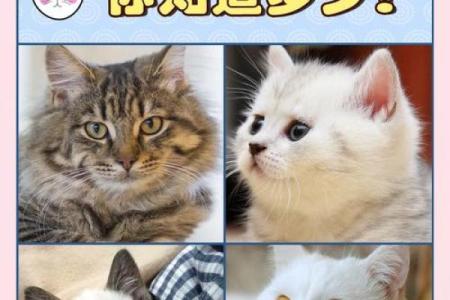 生来怒才命，这个动物的秘密你知道吗？