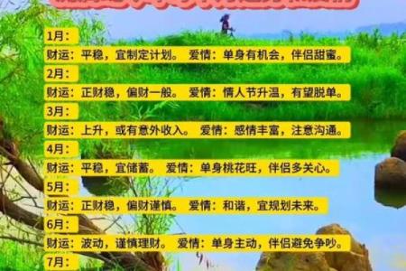 女生大男生5岁属什么命：爱情与命运的奇妙关系