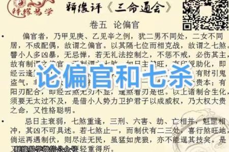 命理解析：文命与武命的深刻内涵与人生指引