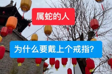 属蛇人的命运解析：智慧与灵动的象征