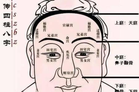 男没有鼻梁的命运解析：潜在意义与生活态度