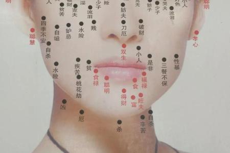 鼻根粗的命运解析：揭秘面相与人生的奥秘