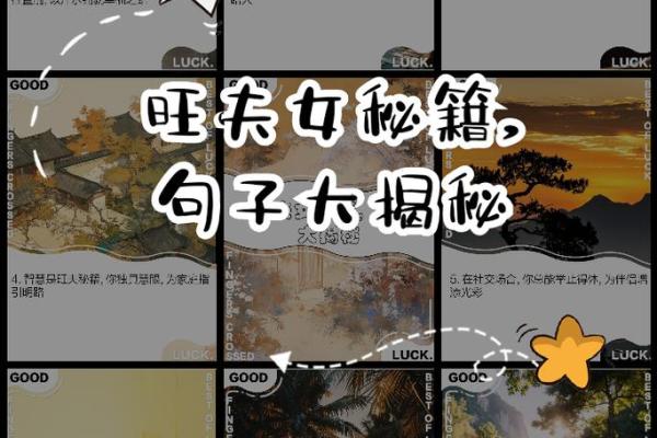 山头火命男子，寻找合适女伴的幸福之路