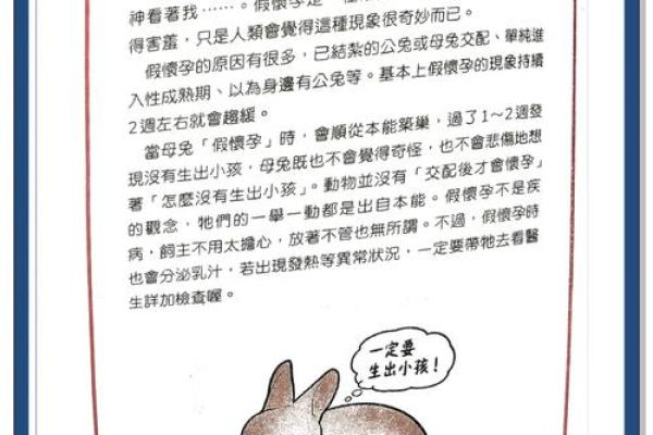 如何理解四十多岁兔子的命运与人生哲学 如何理解四十多岁兔子的命运与人生哲学