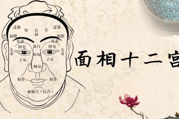 桑柘木命的人生道路：性格、运势与健康的深度解析