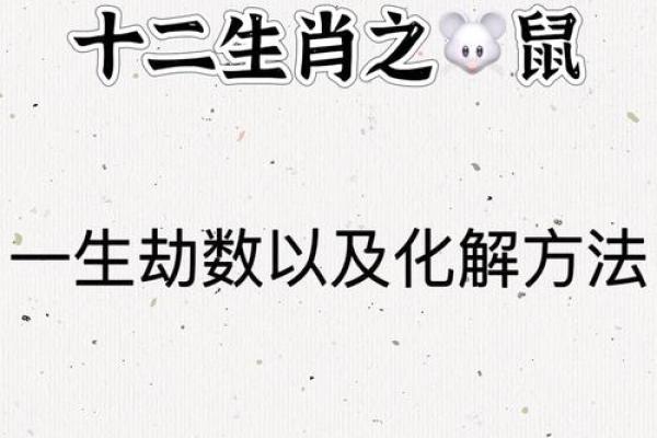 解析壬子日鼠年的命理特征与人生运势