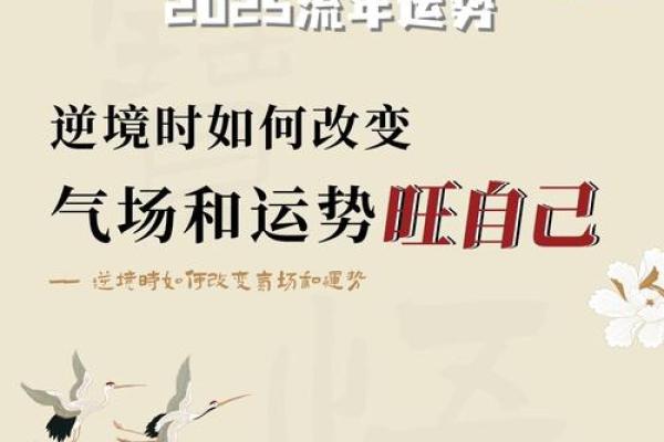 女命壬子日与桃花的缘分探讨