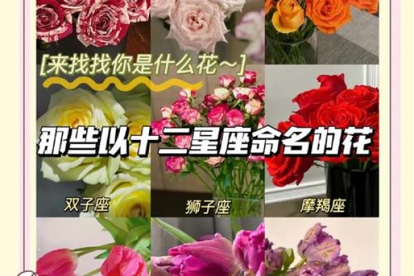 狮子座女性：热情似火的命格与独特魅力解析