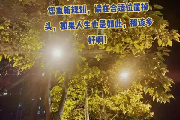 解析庚申命:最佳大运的奥秘与人生选择 解析庚申命:最佳大运的奥秘与人生选择