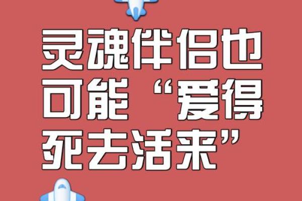 伤官女与命格男的情感测试:谁是她的理想伴侣? 伤官女与命格男的情感测试:谁是她的理想伴侣?