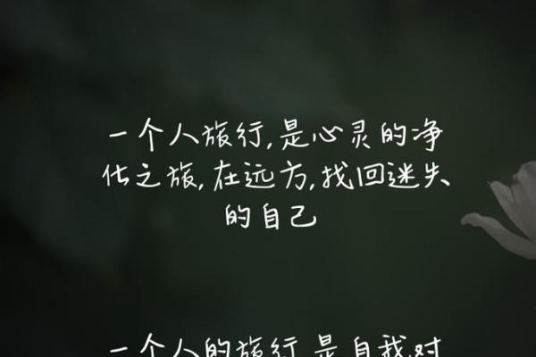 独守空房的孤独与美丽：一段心灵的旅程