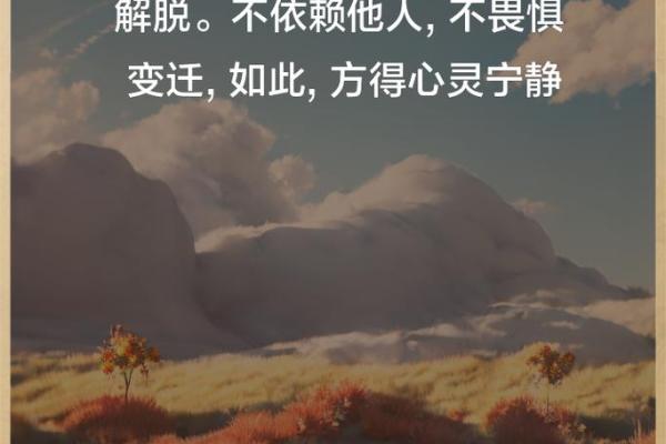 独守空房的孤独与美丽：一段心灵的旅程