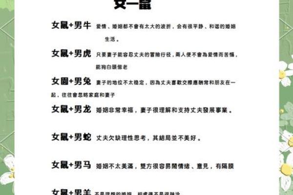 揭秘鼠年出生者低人缘与命运的真相 揭秘鼠年出生者低人缘与命运的真相