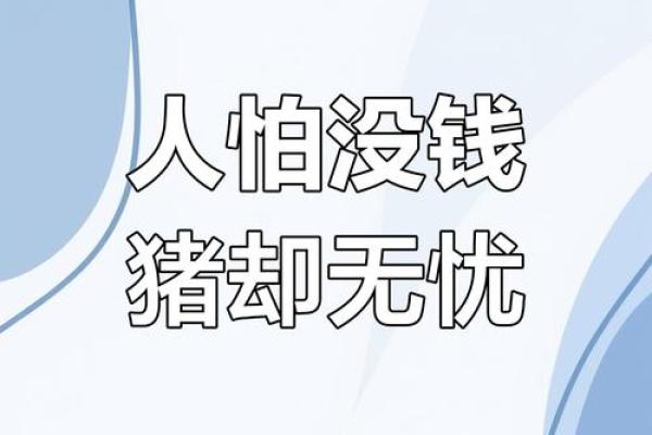 属猪的人生：一路高歌，幸福与成功的命运之路