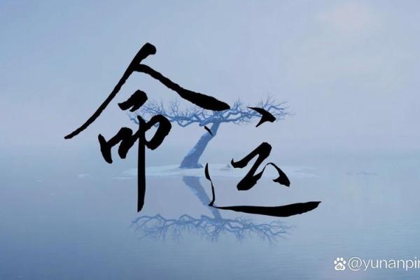 属猪的人生：一路高歌，幸福与成功的命运之路