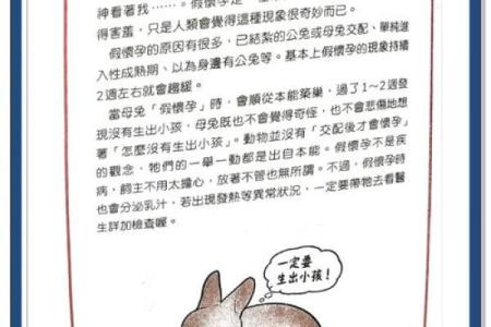 如何理解四十多岁兔子的命运与人生哲学