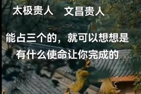 揭秘文昌命与福星命：命理解析与人生指导