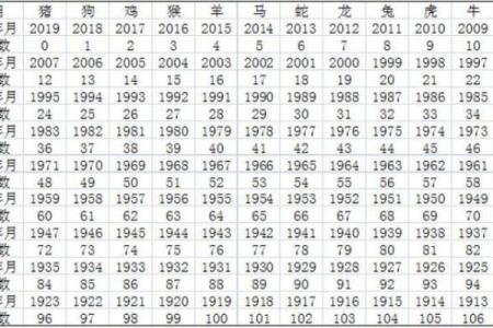 属兔之命：探析兔年出生者的五行命理与生活智慧
