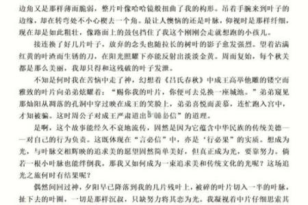 从申命记31章看信仰与勇气的力量：坚定前行的八大启示