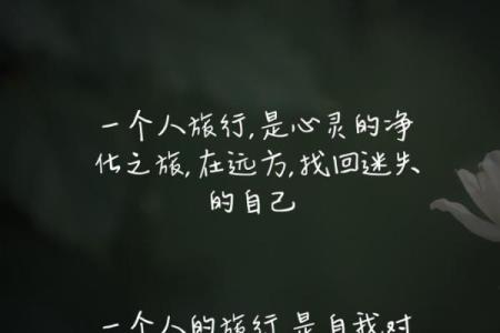 独守空房的孤独与美丽：一段心灵的旅程