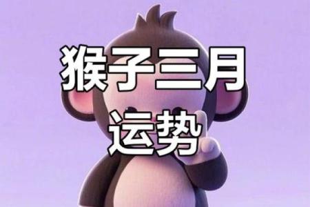 属猴土命的人适合的颜色及其影响解析