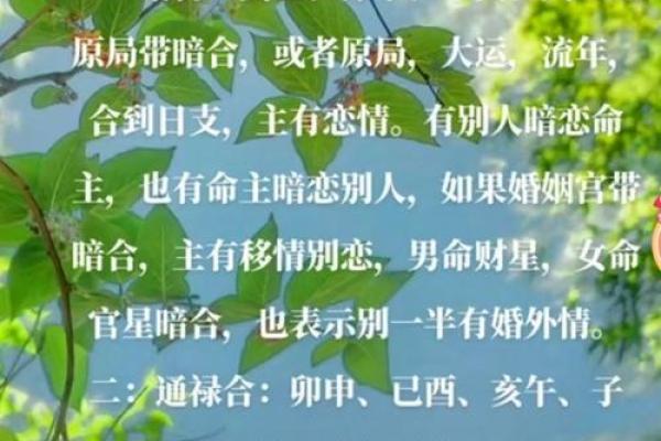 揭示八字命理:如何判断一个男命是否会出轨? 揭示八字命理:如何判断一个男命是否会出轨?