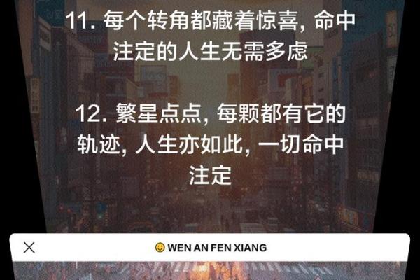 命中注定却又改变，人生的选择与机遇之舞