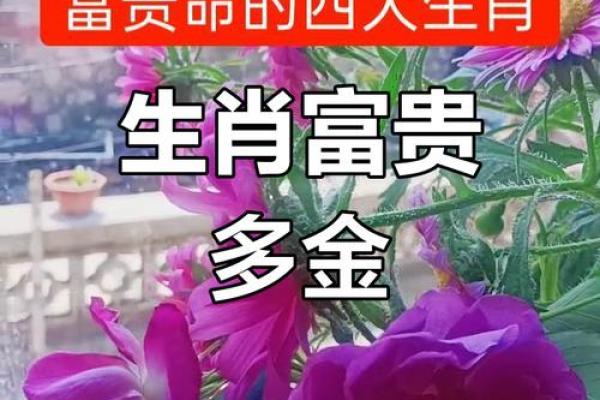 属狗命是富贵命的秘密：教你如何把握好运气！