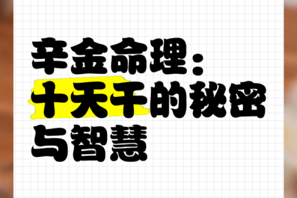 如何判断命理是否适合学习与成功的秘密 如何判断命理是否适合学习与成功的秘密