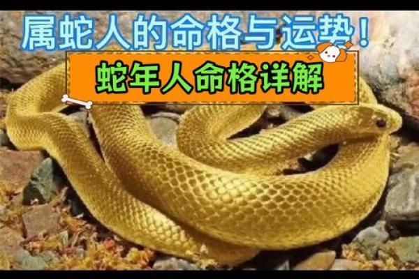 如何通过生肖蛇年判断命格,揭示你的命运奥秘! 如何通过生肖蛇年判断命格,揭示你的命运奥秘!