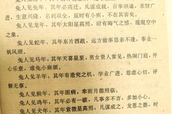 属兔人的命运解析：优雅与智慧相伴的生活之旅