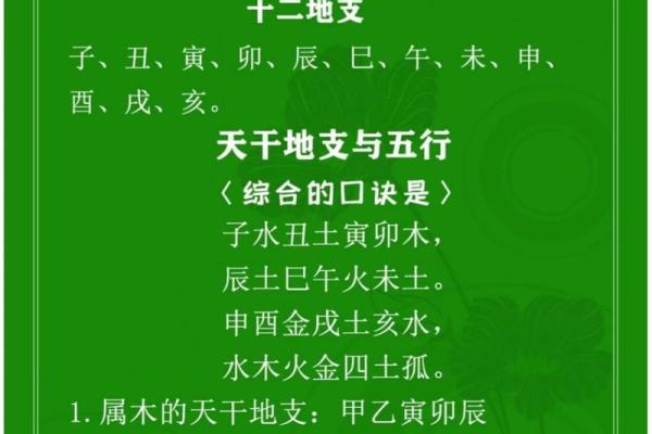 揭秘八字命理：如何通过八字看出你的命运与方向