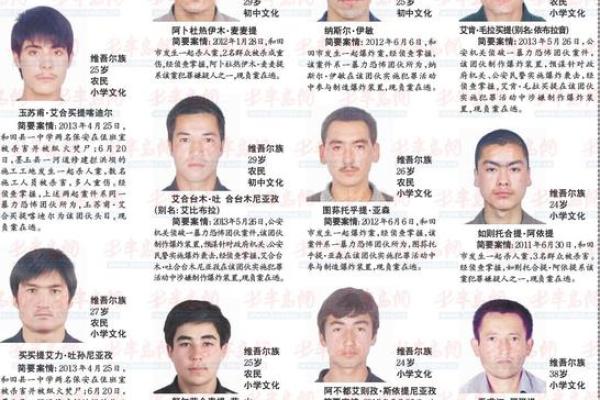 揭开A级通缉令的神秘面纱：何谓A级通缉命？