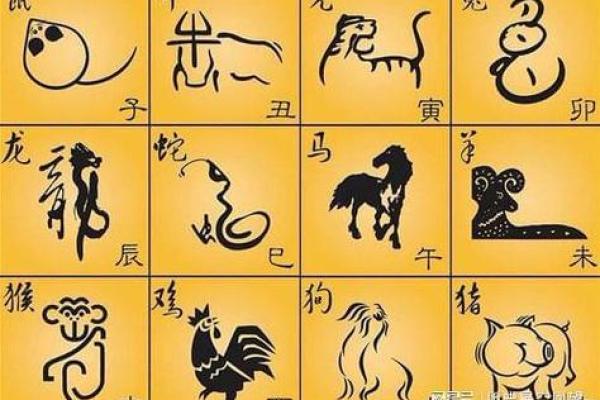 什么属相的土豪最有钱命？探秘财富之道！