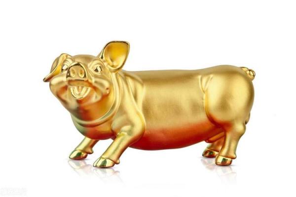 属猪的贵人命：与水相生的契机与机缘