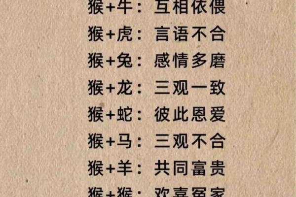 从属相看富贵夫妻:哪些生肖组合能共赢财运? 从属相看富贵夫妻:哪些生肖组合能共赢财运?