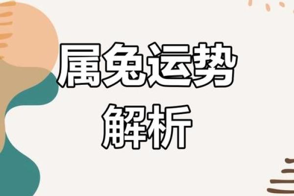 属兔人的方寸大乱:如何在挑战中找到平衡与自我 属兔人的方寸大乱:如何在挑战中找到平衡与自我