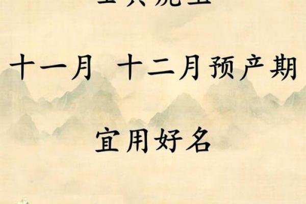 虎宝宝的命运：不同月份出生的寓意与个性解析