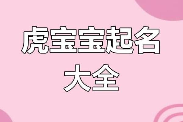 虎宝宝的命运：不同月份出生的寓意与个性解析