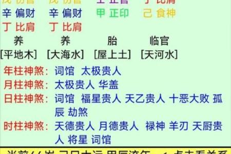 女命八字的正官星缺失解析：影响与补救之道