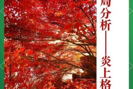 如何判断自己的命格：探索命理的奥秘与自我认知