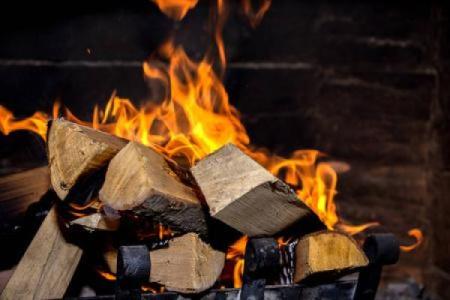 秋季火命人：温暖与激情的生活指南